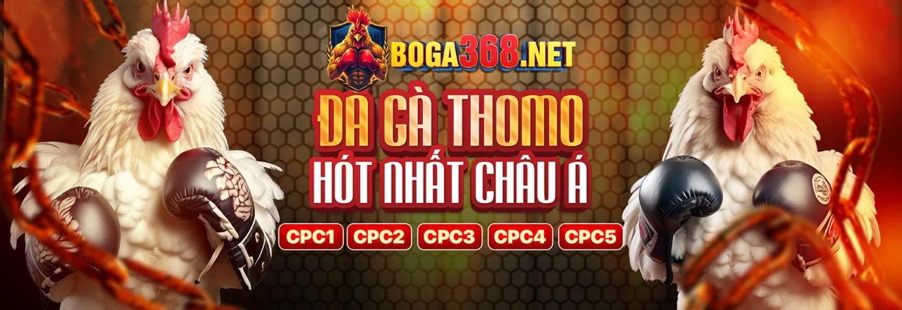 Sân đấu đá gà kịch tính tại alo789vn nổ hũ